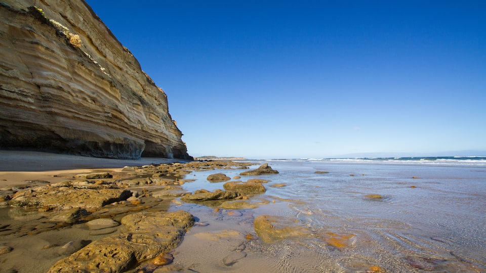 A rocky beach with large boulders and a steep cliff.