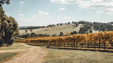 Tumbarumba, New South Wales - APRIL 20th, 2019: Scenic Australian countryside at Courabyra Winery in the Snowy Mountains Region.