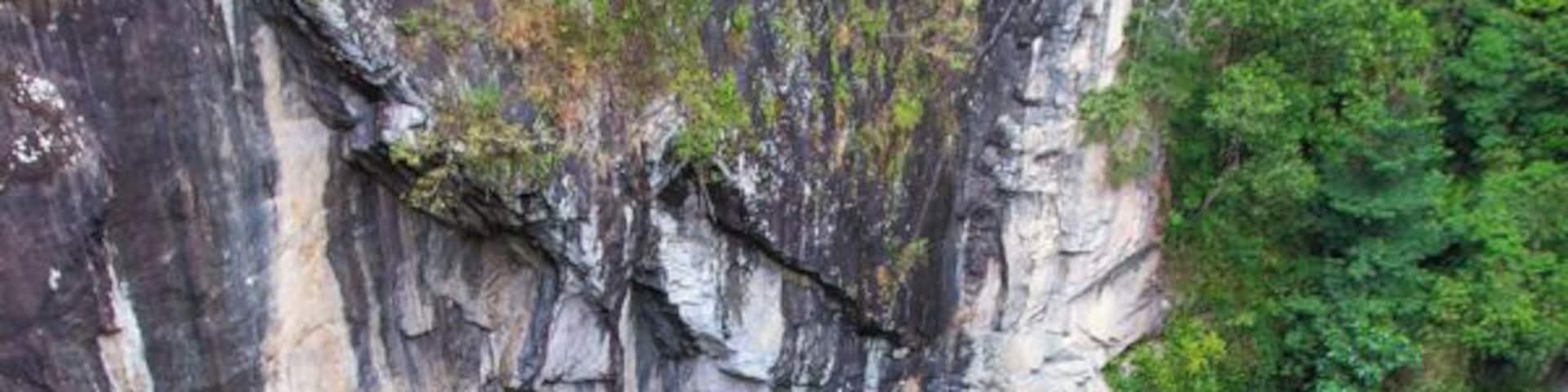 A cliff with a green pond at its base, surrounded by dense forest.