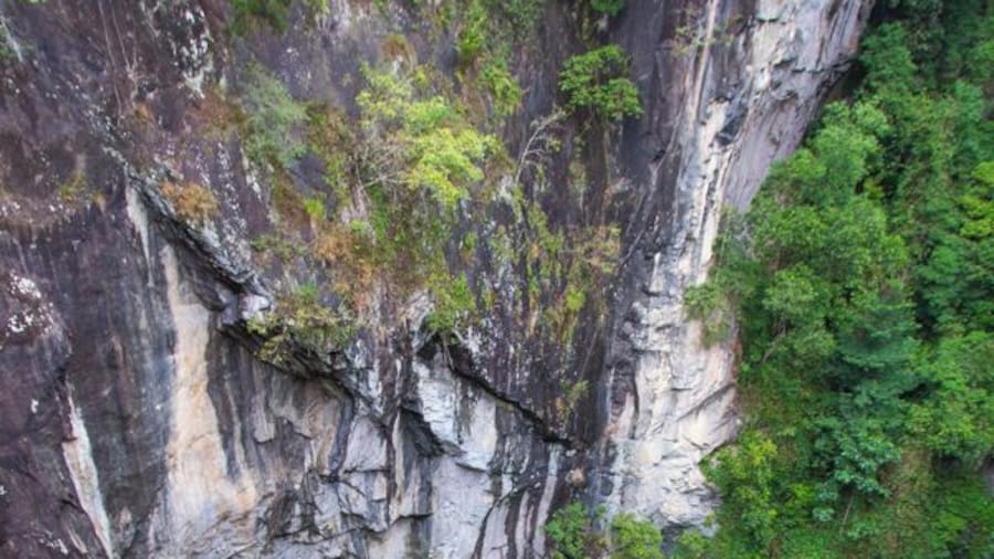 Mount Hypipamee Crater in the Atherton Tablelands of Queensland is a huge diatreme that is 61 metres in diameter and 82 metres deep. And the water surface is covered with duck weed.