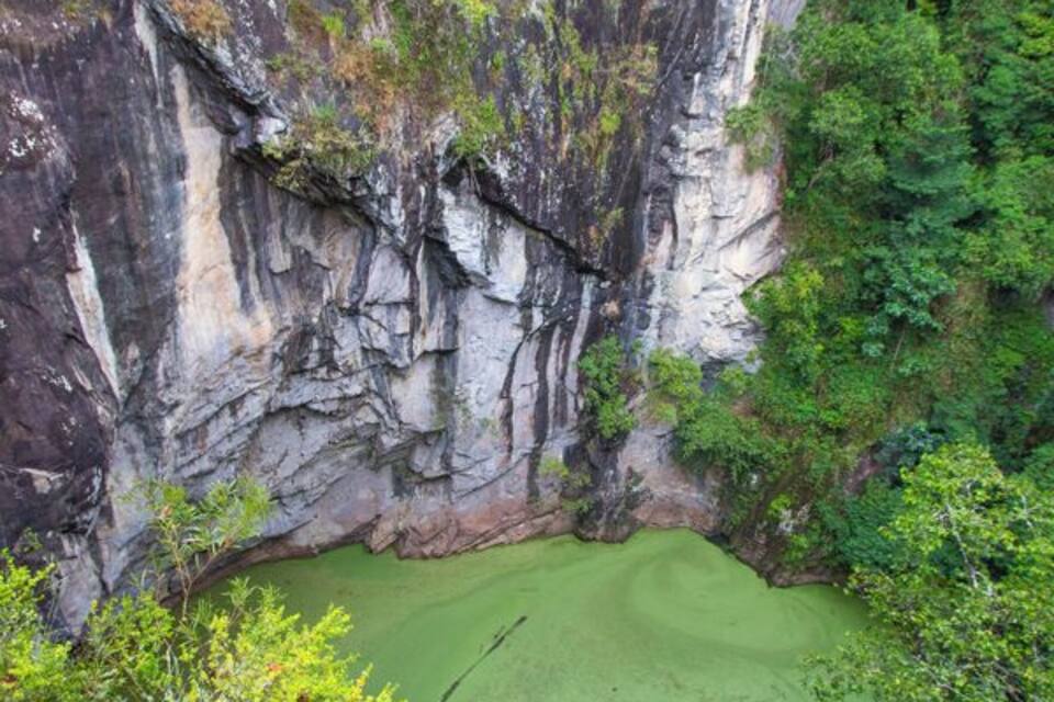 Une falaise au pied de laquelle se trouve un étang verdoyant, le tout étant entouré d’une forêt dense.