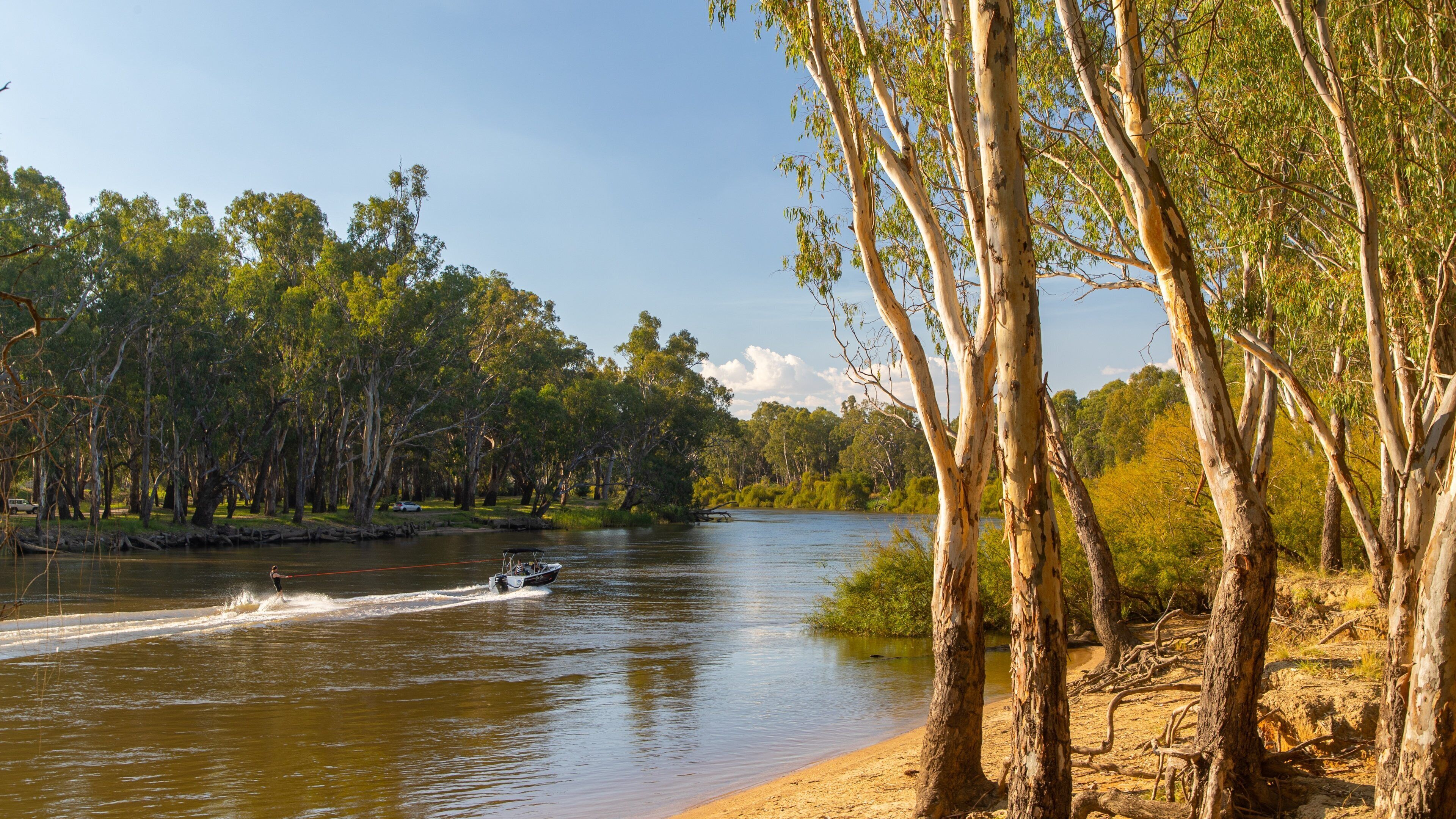 Wahgunyah showing boating and a river or creek