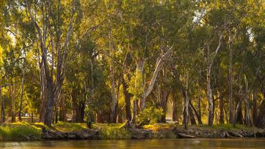Wahgunyah which includes a lake or waterhole and a park
