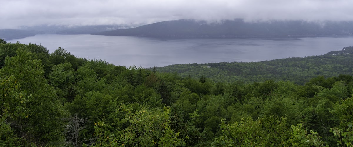 A lake surrounded by dense forest and mountains under cloudy skies.