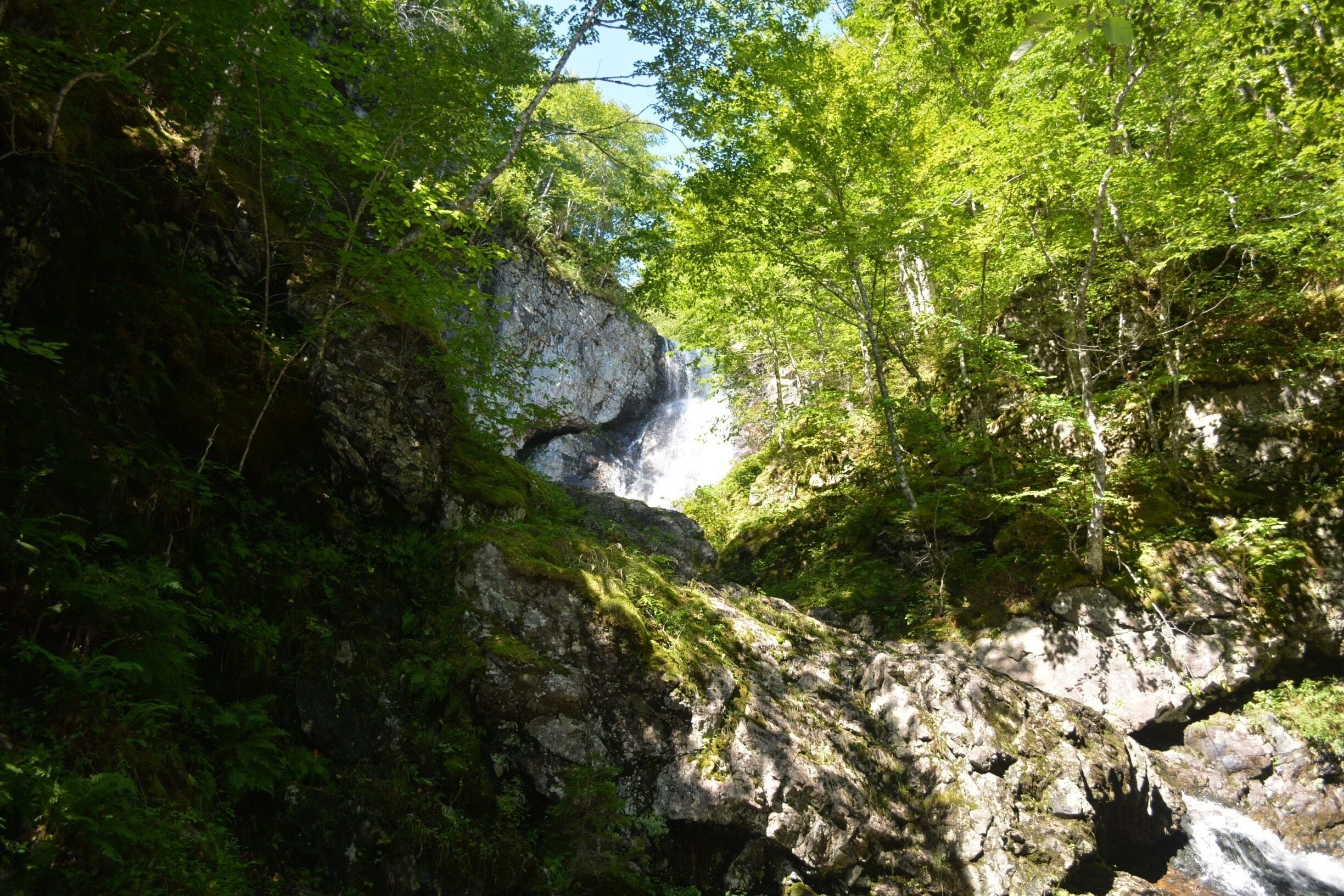 Couldn't get a great shot of it, but the falls are above our heads, we are standing below. 