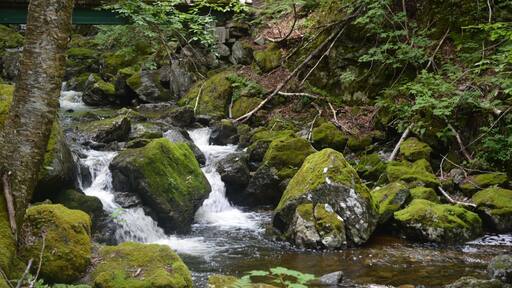 Favorite place in on Cape Breton Island