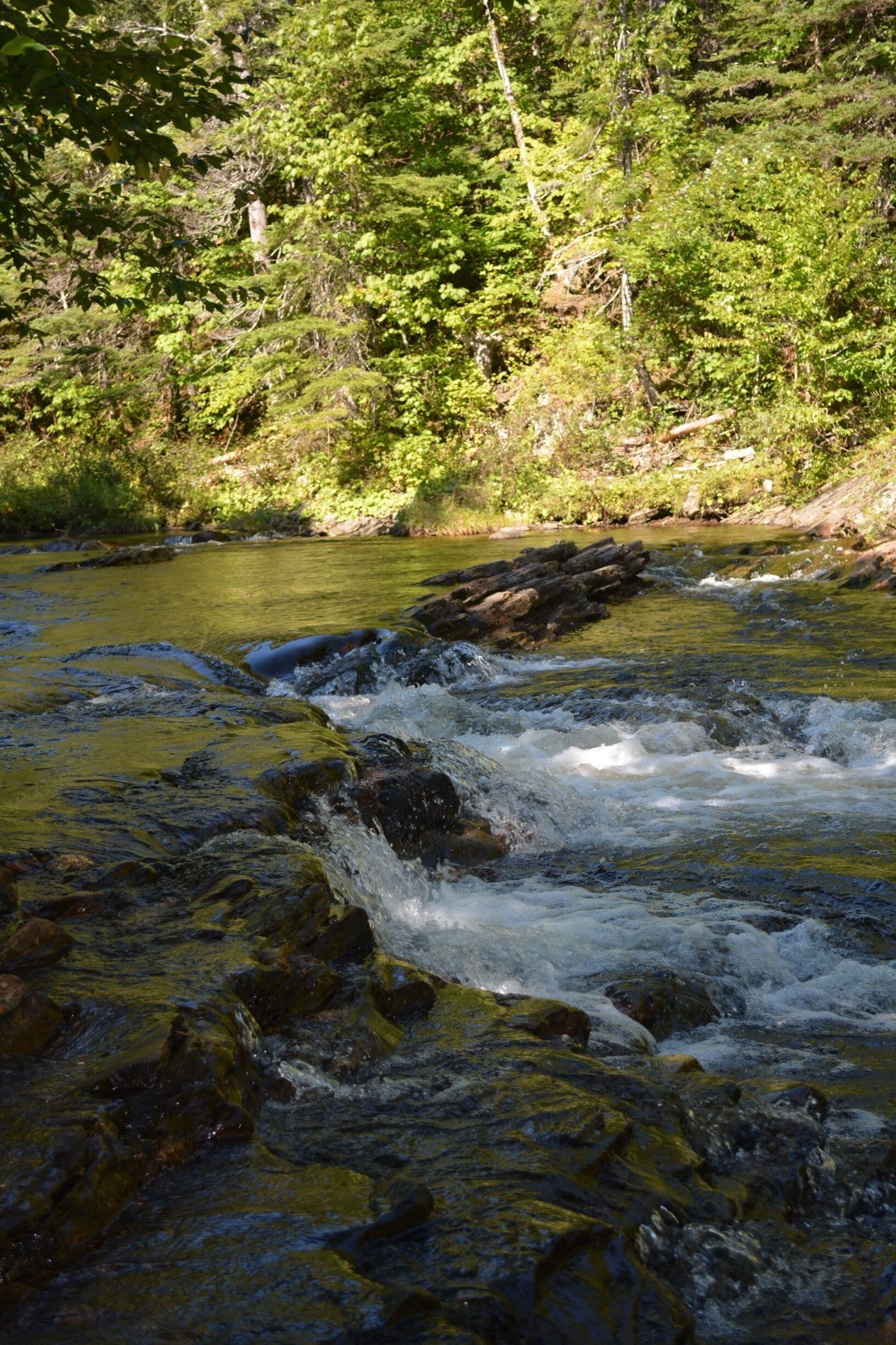 Beautiful hike filled with wildlife, brooks, streams, and waterfalls