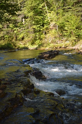Beautiful hike filled with wildlife, brooks, streams, and waterfalls