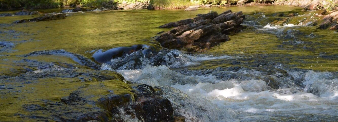 Beautiful hike filled with wildlife, brooks, streams, and waterfalls