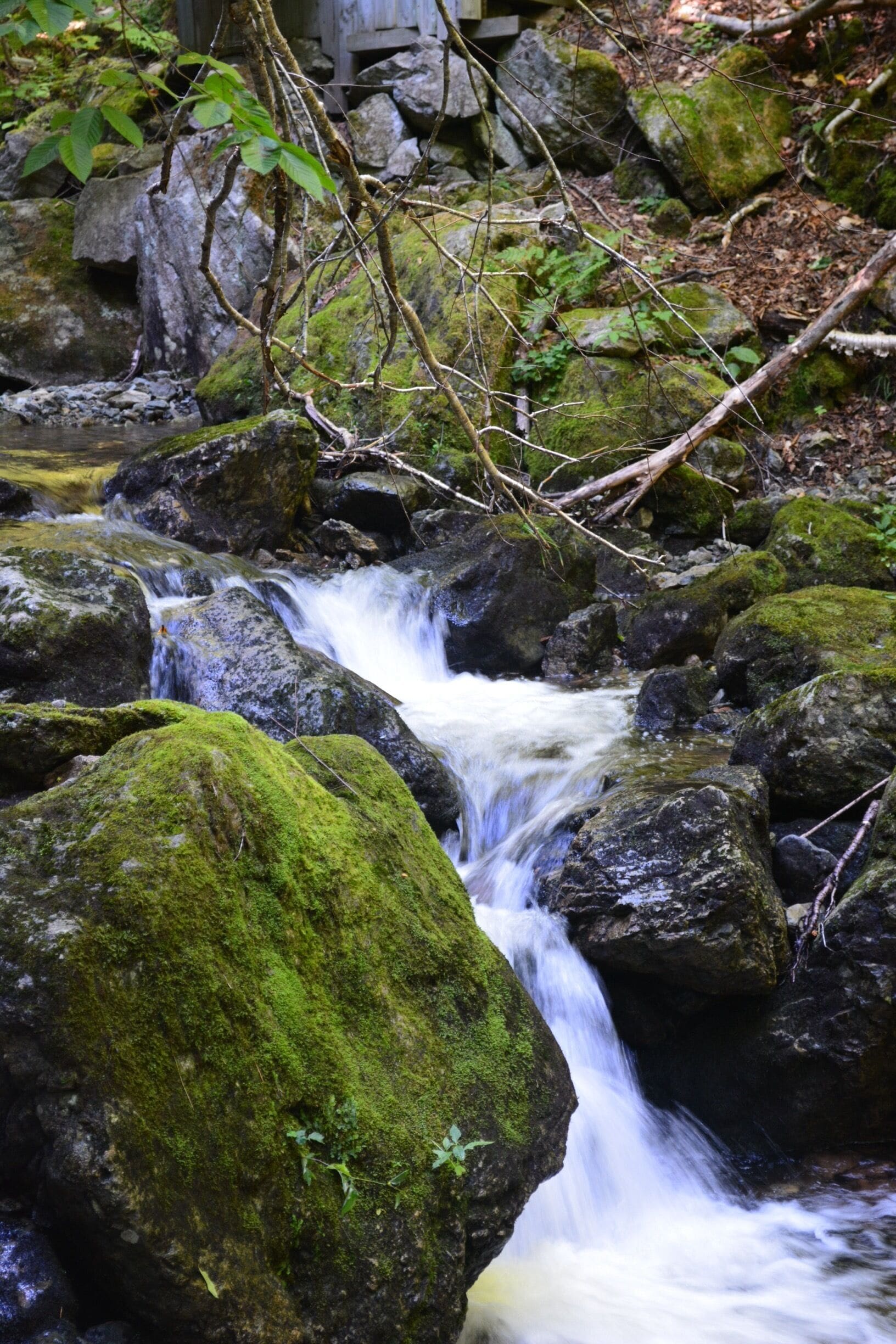 Most beautiful hike on the island