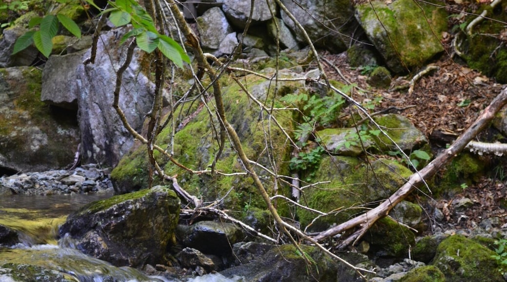 Most beautiful hike on the island