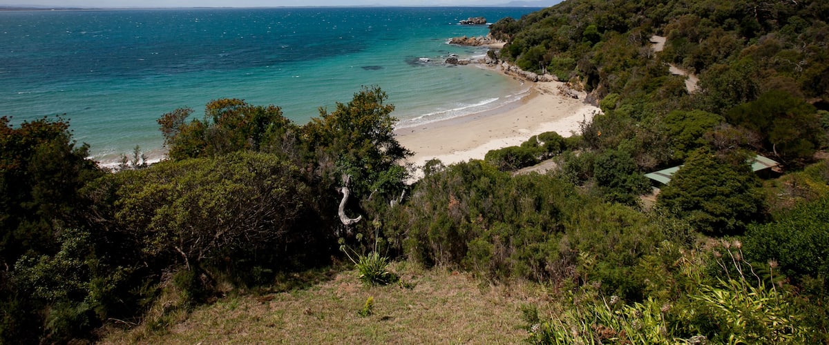A coastal landscape with a beach, dense greenery, and a clear blue sea.