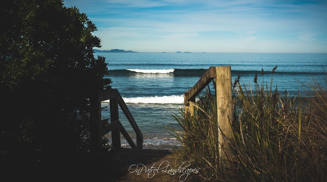Watching the waves roll in from our campsite 😊