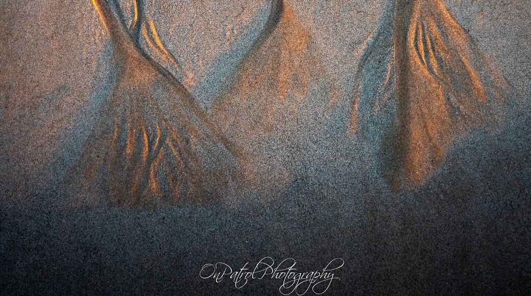 Stunning patterns in the sand at low tide with the sun rising to the east