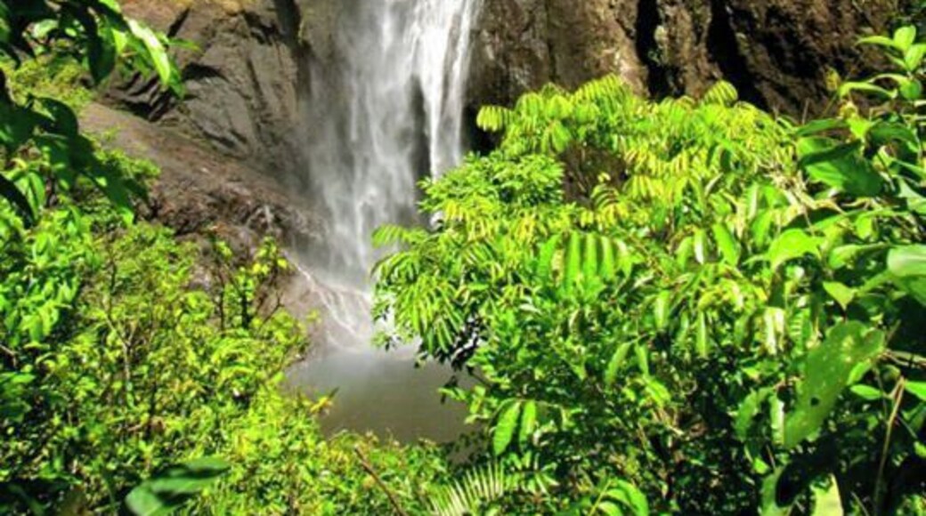 Last photo of Wallaman Falls (promise). If you're ever in North Queensland this is worth every minute of driving, walking, and general detouring. #nationalpark