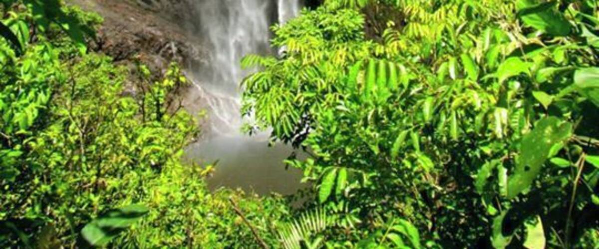Last photo of Wallaman Falls (promise). If you're ever in North Queensland this is worth every minute of driving, walking, and general detouring. #nationalpark