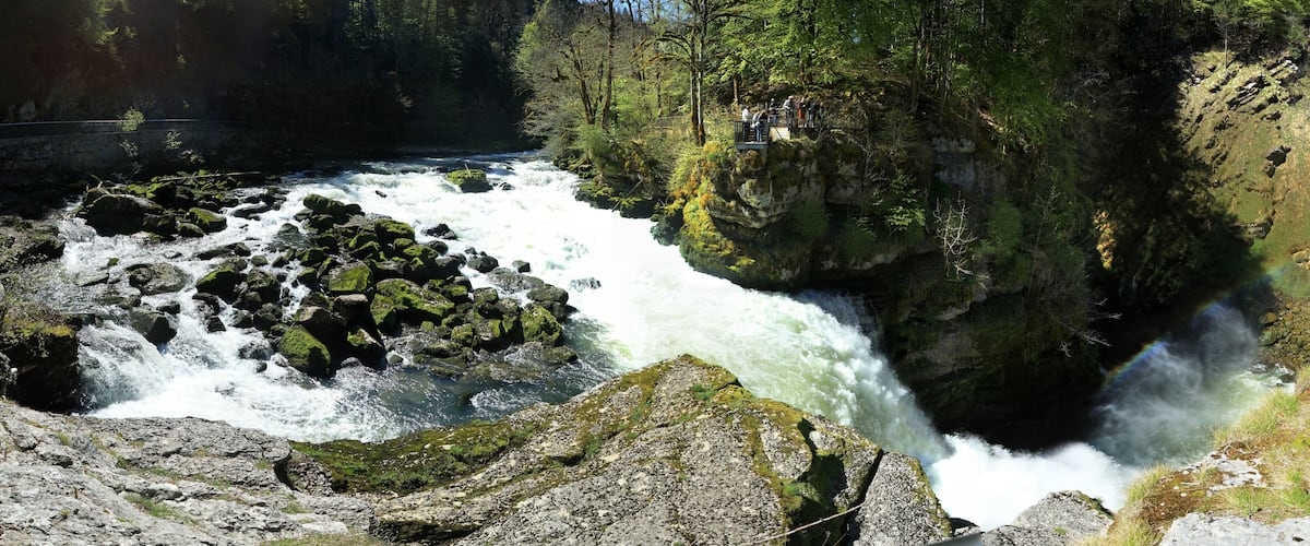 A river flowing through a forested gorge with rocky terrain and a bridge in the background.