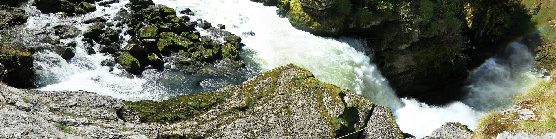 A river flowing through a forested gorge with rocky terrain and a bridge in the background.
