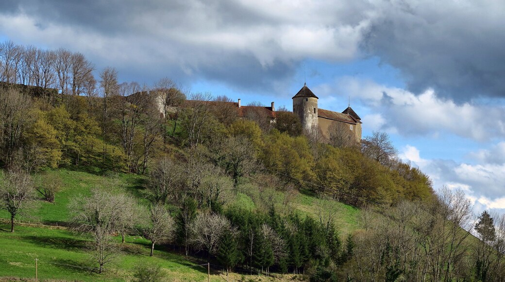 This building is indexed in the Base Mérimée, a database of architectural heritage maintained by the French Ministry of Culture, under the reference PA00101450 .