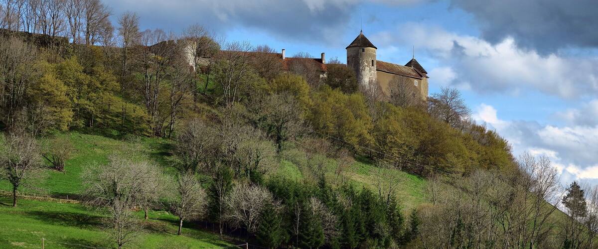 A castle on a hill with surrounding trees and a partly cloudy sky.