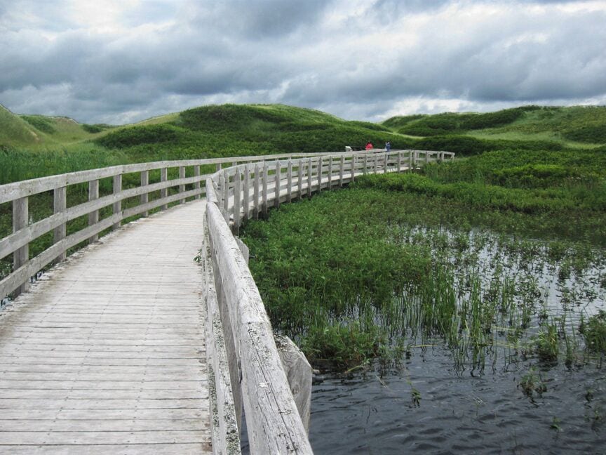 The parabolic dunes in the Greenwich section of PEI National Park are worth seeing. A long nature trail leads you out along a boardwalk to the dunes. A shorter trail takes you directly to the beach.