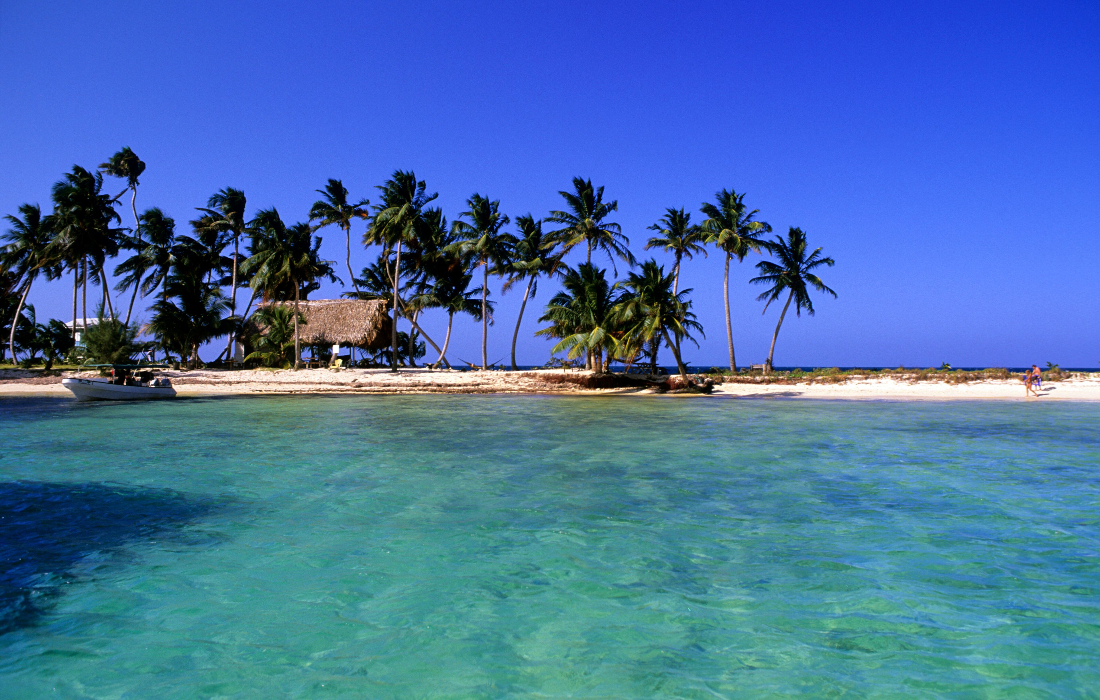 A tropical beach with clear turquoise water, palm trees, and a thatched-roof hut.