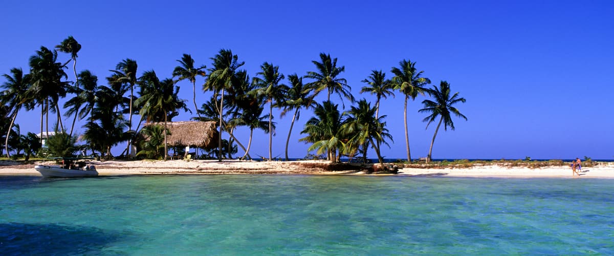 A tropical beach with clear turquoise water, palm trees, and a thatched-roof hut.