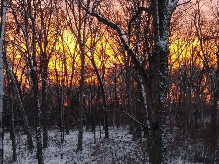 Beautiful sunset on a ridgetop along Charrette creek, Warren County, Mo