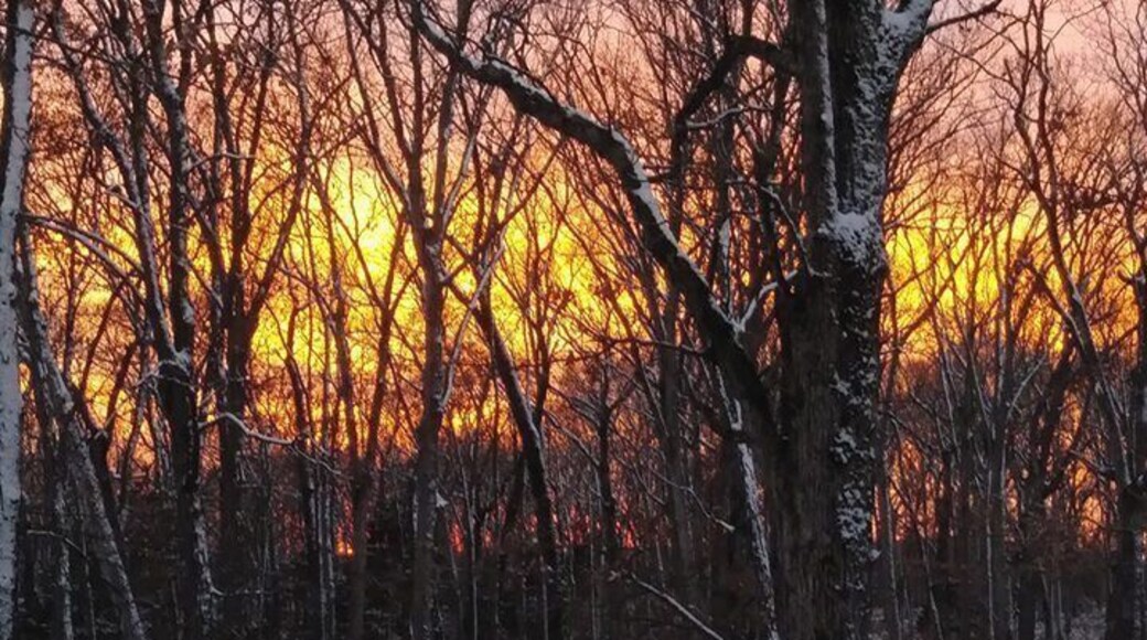 Beautiful sunset on a ridgetop along Charrette creek, Warren County, Mo