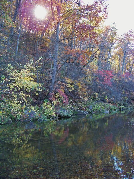 A view down Charrette creek during a Fall afternoon from a family farm. For a great Autumn drive try Charrette Creek Road to or from hwy. 47 south of Warrenton, Mo.