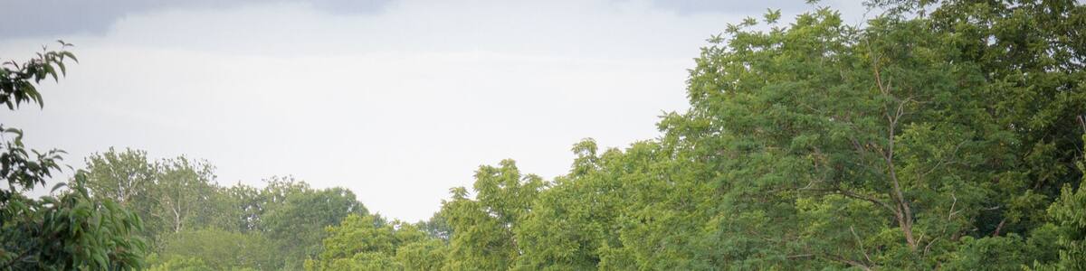 Two muslim women enjoying the outdoors together in summer