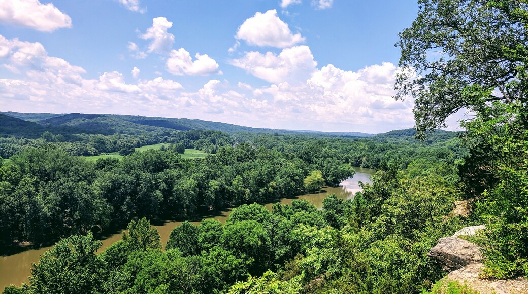 At the top of the River Scene trail, 2 hour, 3 mile long hike. Just 20 mins drive out of St. Louis city! Even for a 100F weather, it was a decent hike as most of the path is covered and shaded.