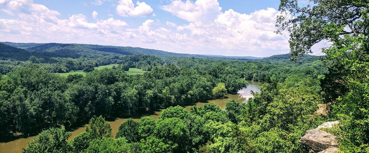 At the top of the River Scene trail, 2 hour, 3 mile long hike. Just 20 mins drive out of St. Louis city! Even for a 100F weather, it was a decent hike as most of the path is covered and shaded.