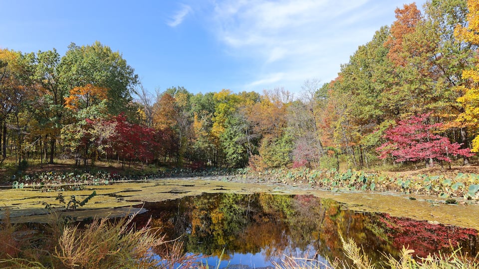 A pond surrounded by autumn foliage with trees reflecting in the water.