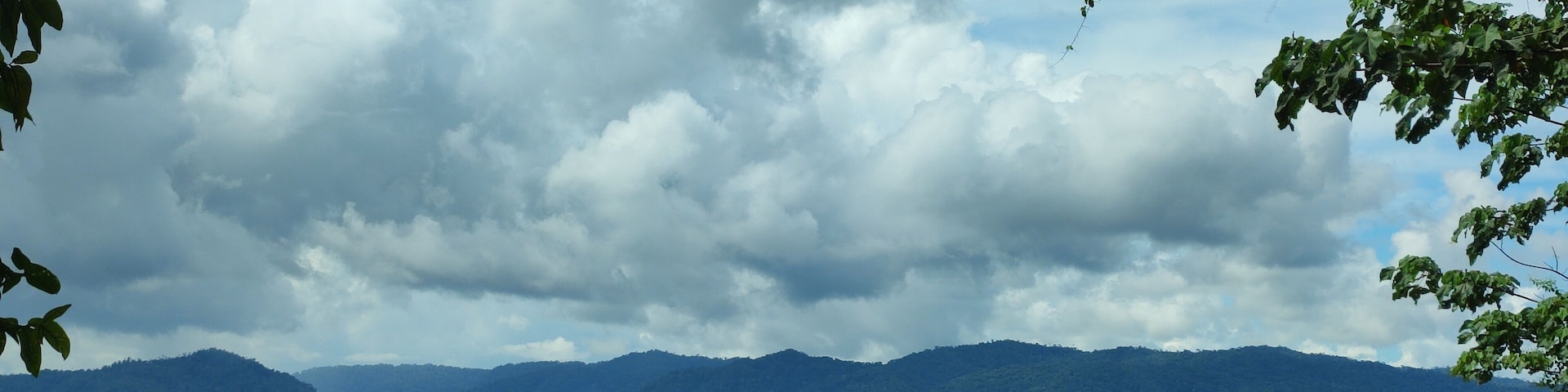 View of a tropical rainforest found in Costa Rica, Piedras Blancas National Park
