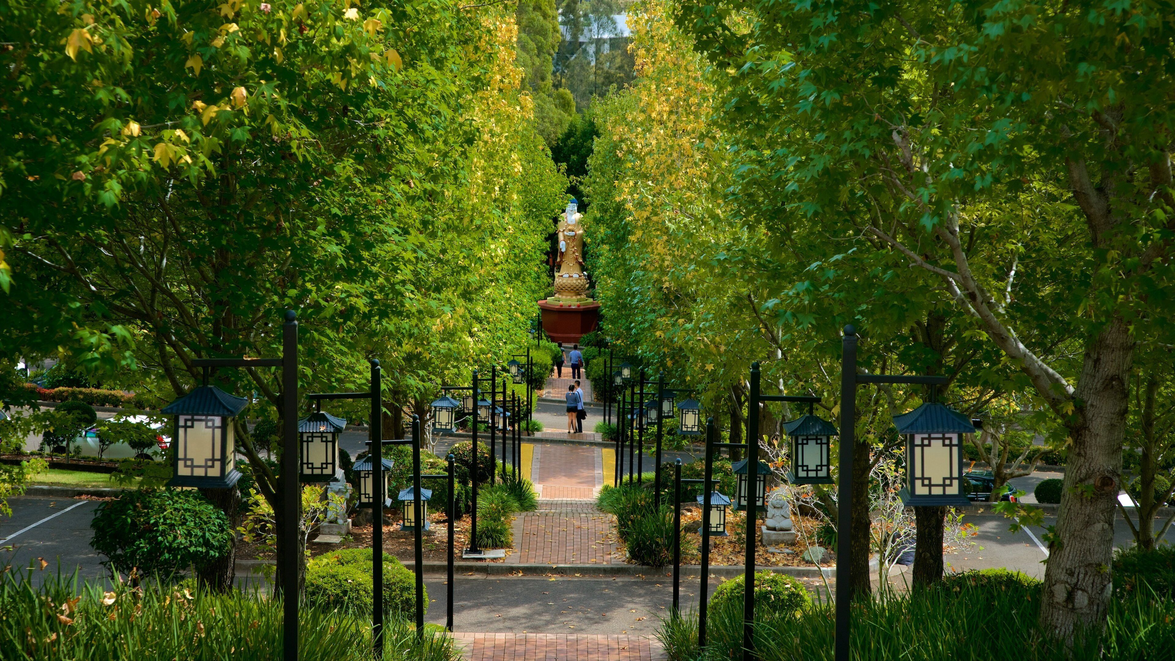 Berkeley featuring a park
