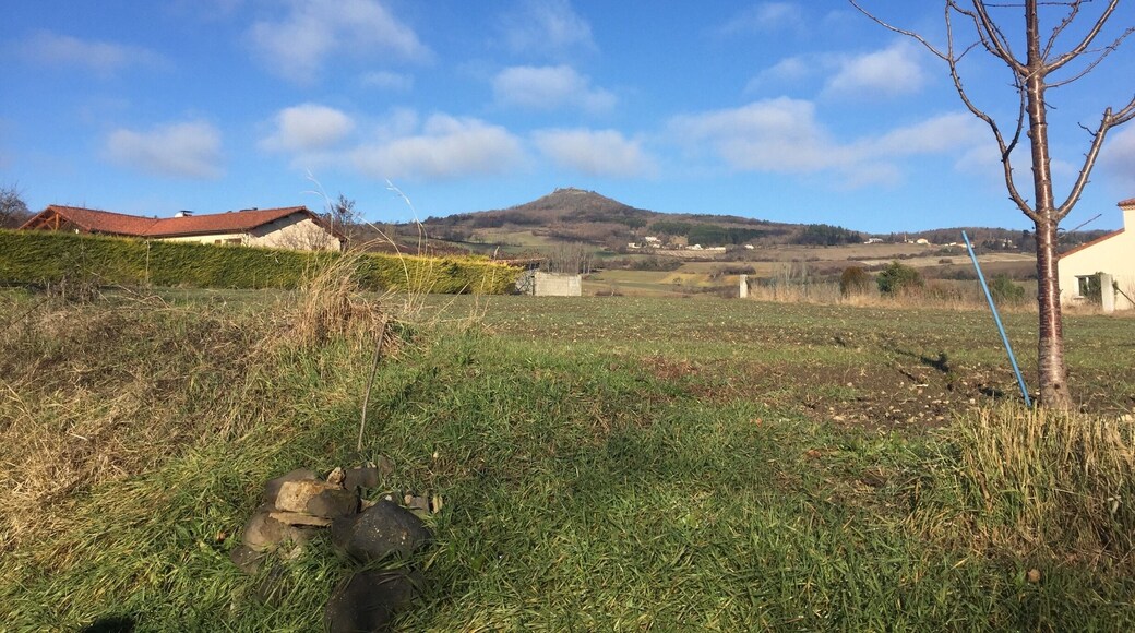 First post on Trover. Took a few days ago in Auvergne