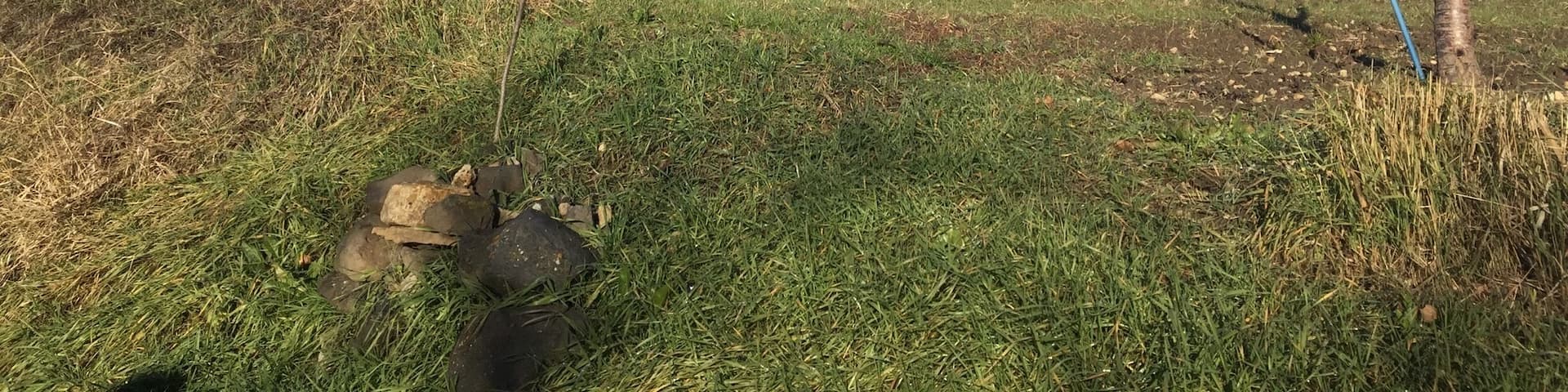 First post on Trover. Took a few days ago in Auvergne