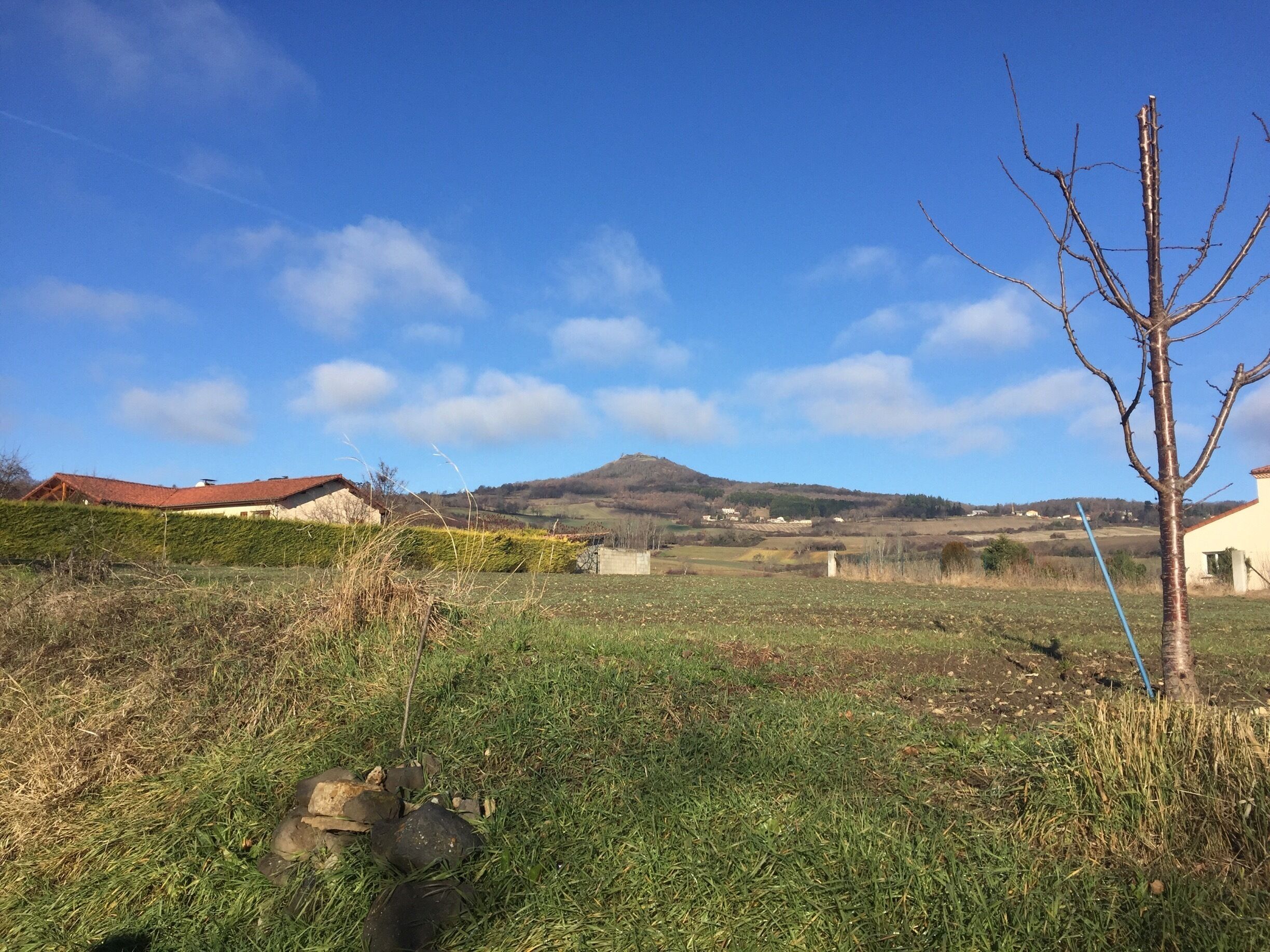 A rural landscape with a clear blue sky, a hill in the distance, and a leafless tree in the foreground.
