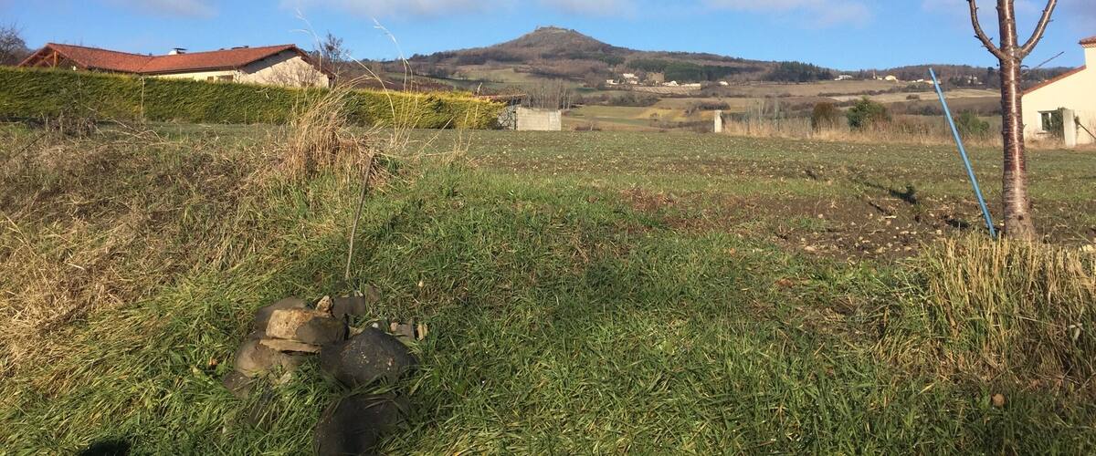 A rural landscape with a clear blue sky, a hill in the distance, and a leafless tree in the foreground.