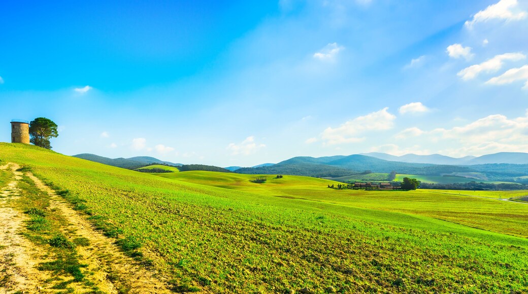 カザーレ マリッティモ