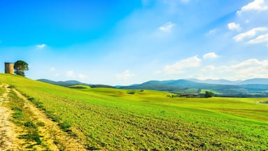 A green field with a dirt path leading to a stone tower.