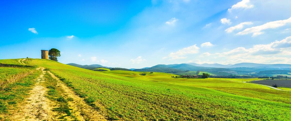 A green field with a dirt path leading to a stone tower.