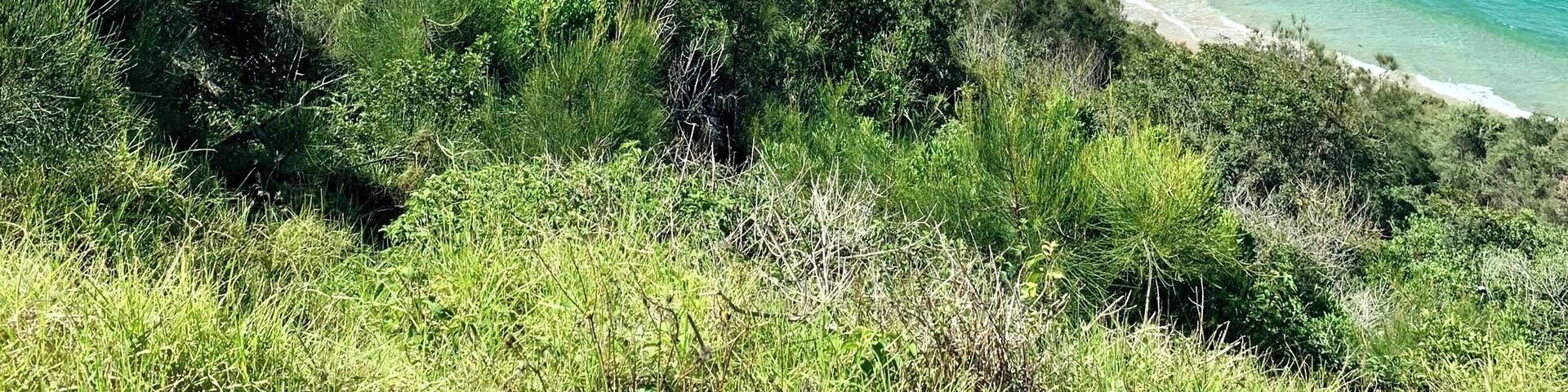 The perfect day with the perfect view from Hill 60 lookout in Port Kembla, NSW, Australia. #Nature