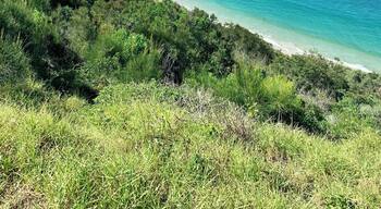 The perfect day with the perfect view from Hill 60 lookout in Port Kembla, NSW, Australia. #Nature