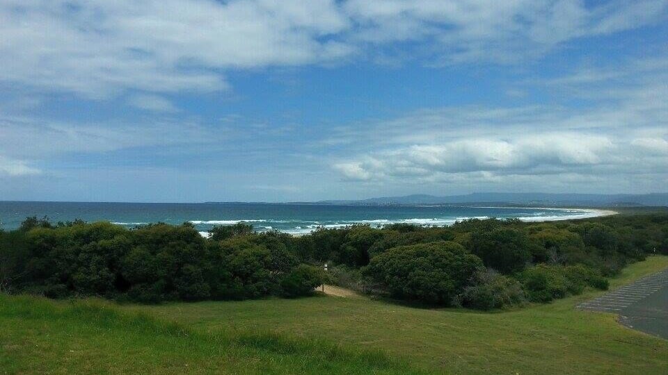 Paesaggio costiero con un prato in primo piano, alberi fitti e vista sull'oceano sotto un cielo parzialmente nuvoloso.