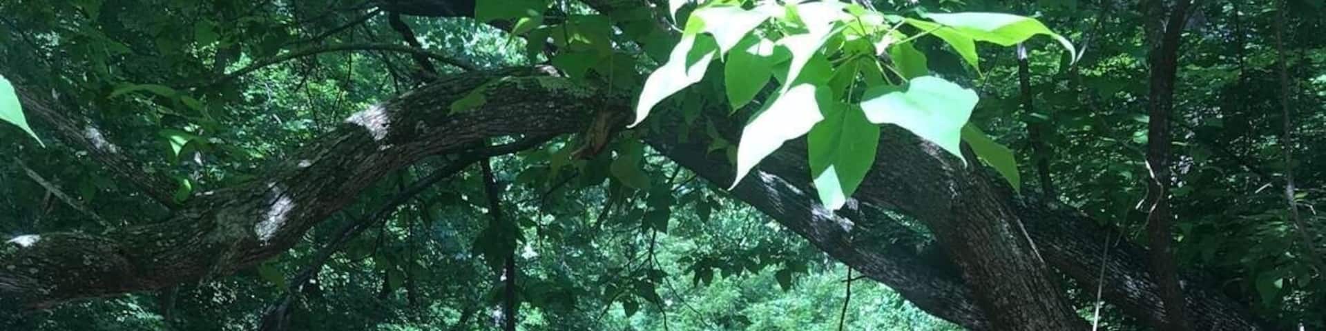 Such an amazing spot to stumble upon!
#TakeAHike