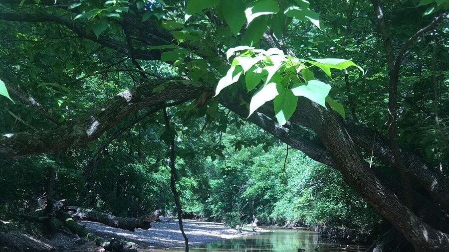 Such an amazing spot to stumble upon!
#TakeAHike