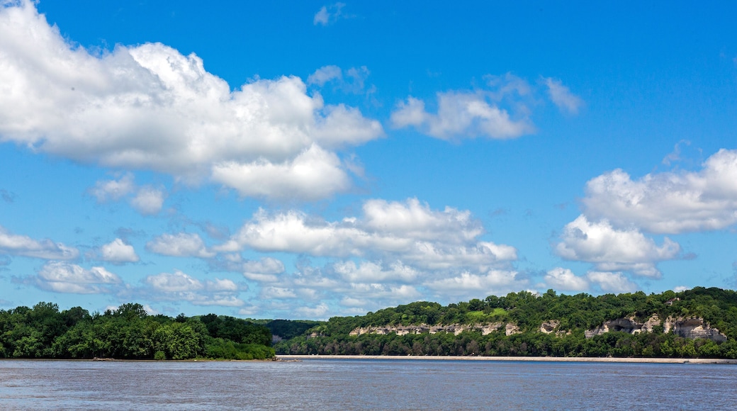 Landscape that includes the Mississippi River riverbank near Portage De Sioux, Missouri