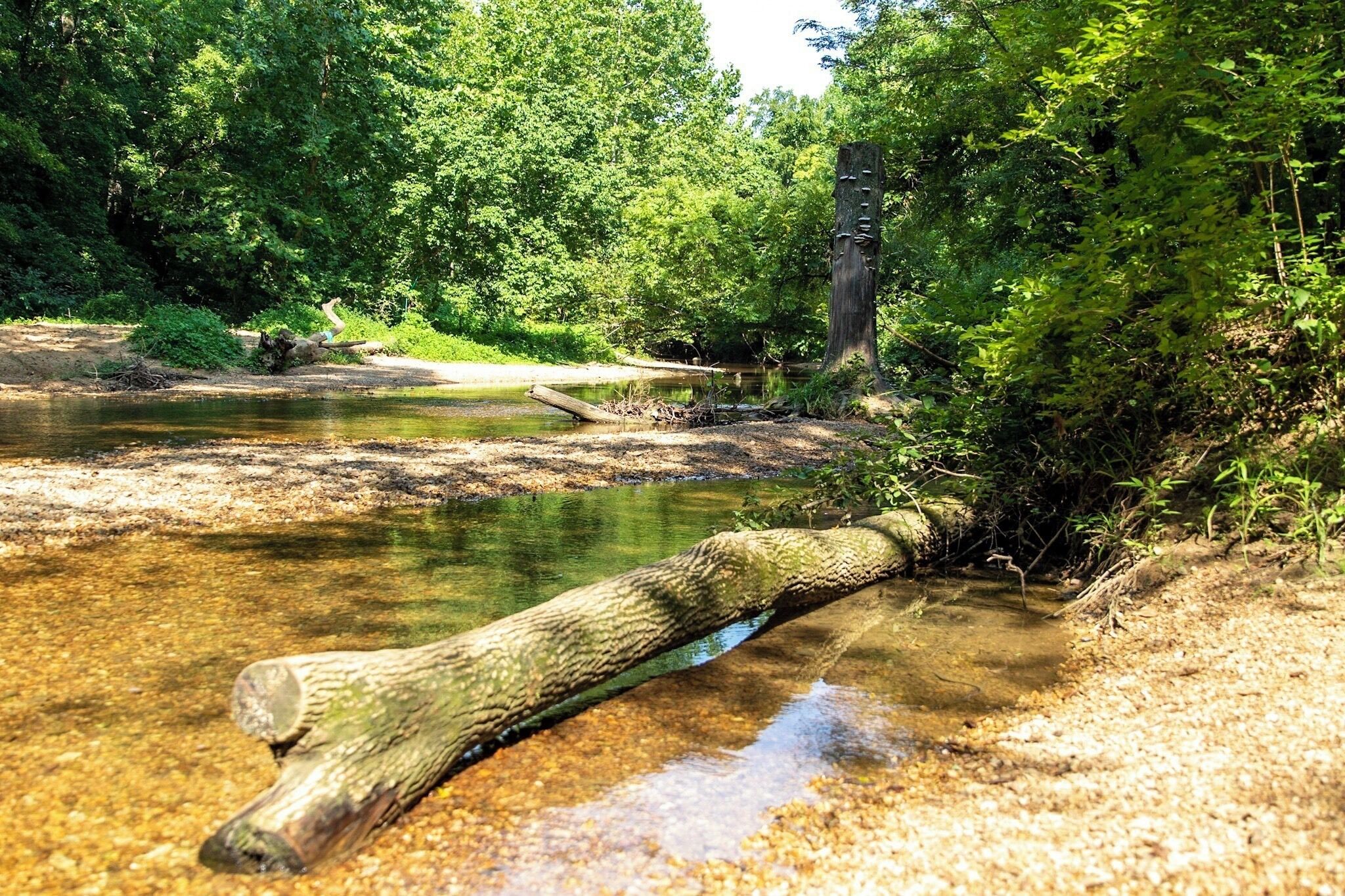 Mastodon State Historic Site.